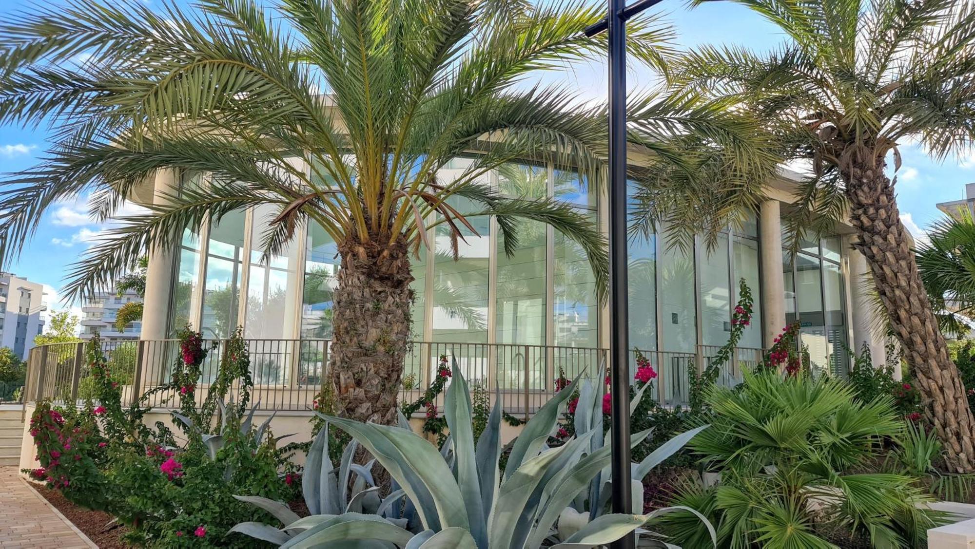 Penthouse Casa Sara, Greenhills, La Zenia, Costa Apartment