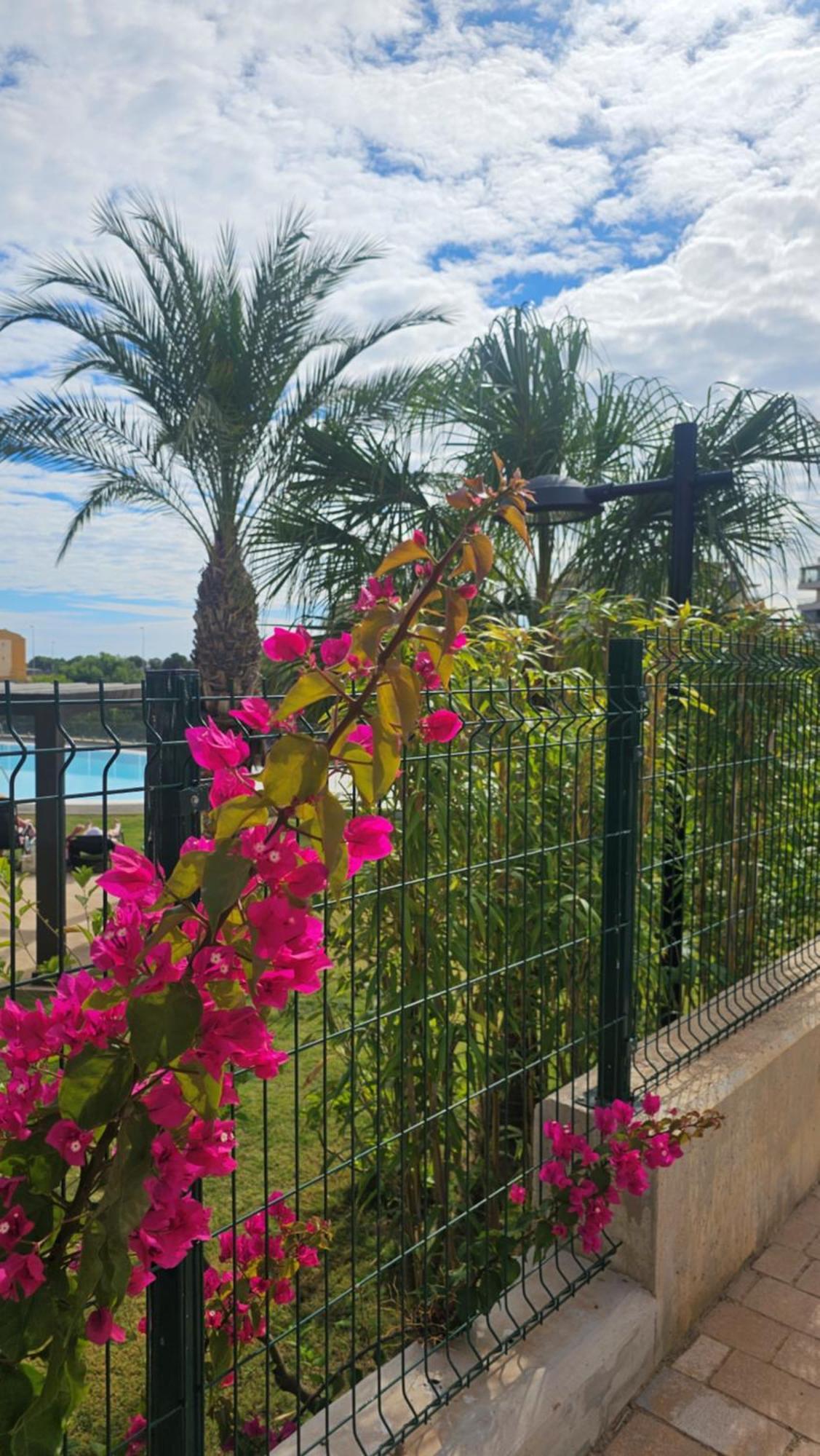 Penthouse Casa Sara, Greenhills, La Zenia, Costa *